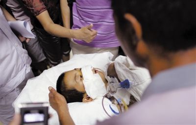 ���ͣ�С����