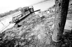 ������ҵ����ְ��