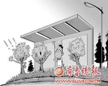 ������ȹ���