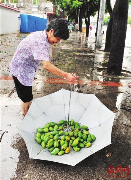 暴雨浇城爽中有险
