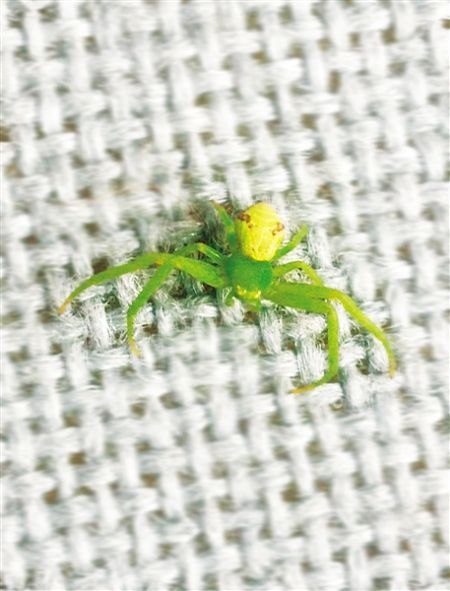 ����������֡����桱֩��