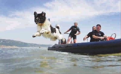 �����һ����Ȯ