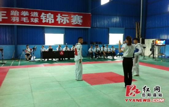 ������ѡ�ֻ���ʱ���ʡ�������ͯ��ȭ���������Ǿ�