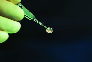 ���ǽ���