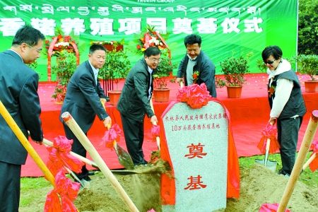 全国首个藏香猪产业化项目昨日启动