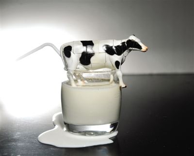 探究“婴幼儿食品禁添牛初乳”