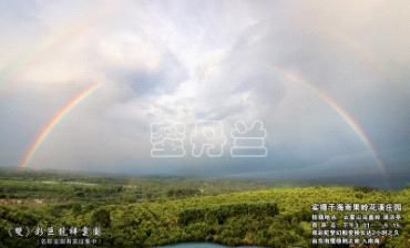 海南省农科院院长黄明安考察蜜丹兰茶园
