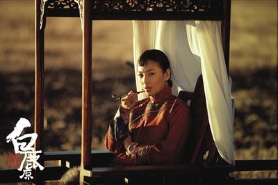 《白鹿原》麦田苍苍,白鹿为伤