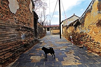 �Ŵ����������ζ��