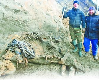 �����ֱ�����õ�����������