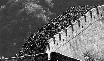 羊上树人均消费(2)