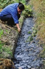 �����Ż�10����ˮ��Ư����ɫӲ��