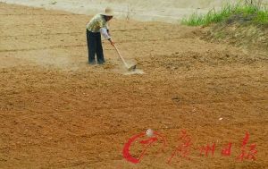 ��Զ21�����־ֲ�����