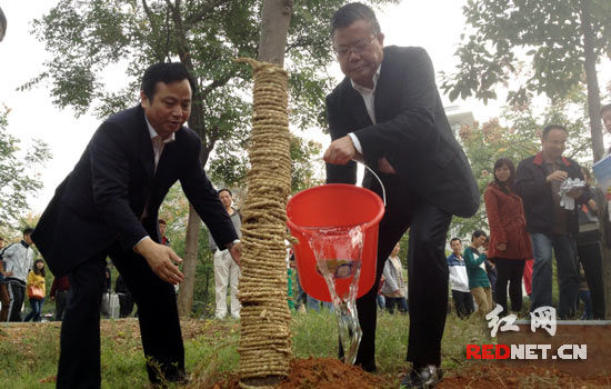 湖南省政协系统乒乓球赛开打胡彪中南林科大栽种杜英树