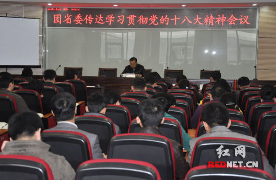 共青团湖南省委召开传达学习贯彻党的十八大精