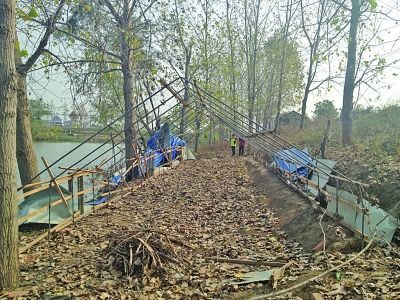 男子称城管强拆导致千只母鸡跳河溺死城管否认