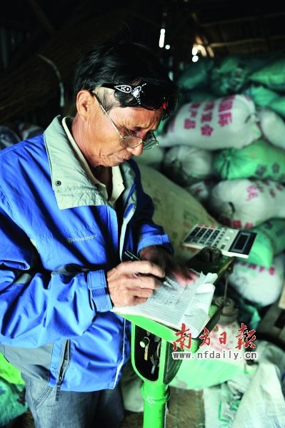广东:明天的粮食在哪最后的“稻田守望者”