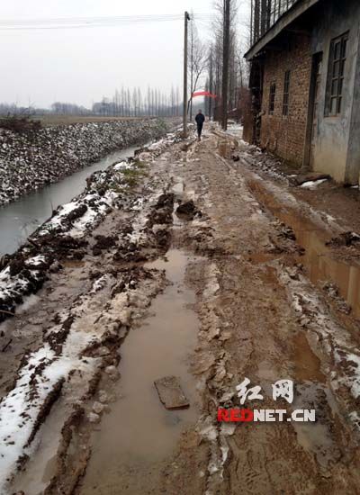关注基层雨雪天寸步难行泥泞路成村支书心头病