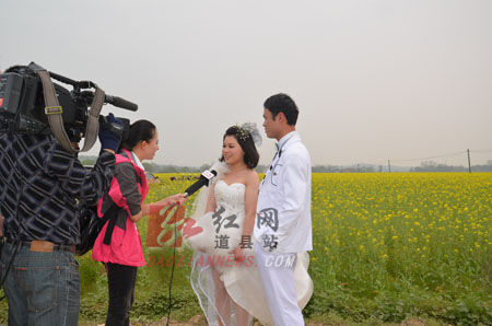 CCTV-7来道县专题报道油-稻-稻三熟制油菜生