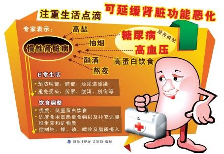 当心减肥药吃出青年来礼仪初中板报肾病图片