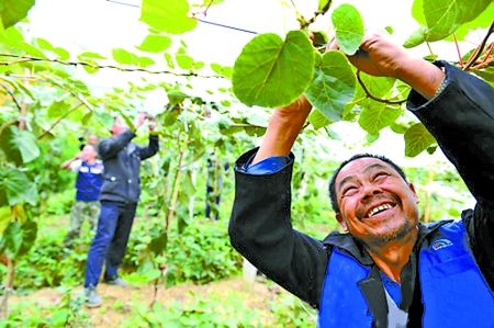 开县人口_开州区人口发展概述_开县(2)