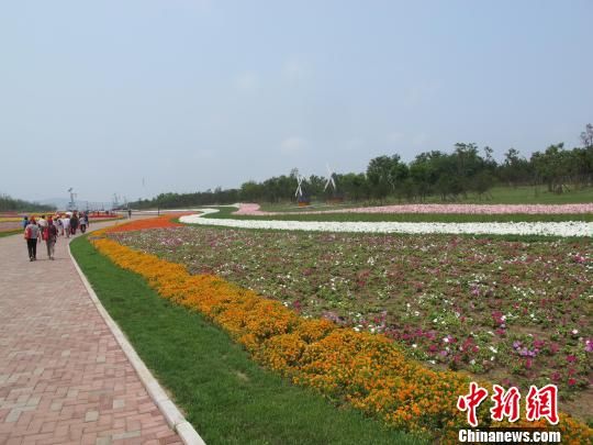 2013中国锦州世界园林博览会：半是海水半是园