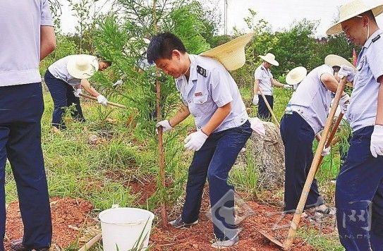 昆明各单位组织迎接建党节主题活动_新浪新闻