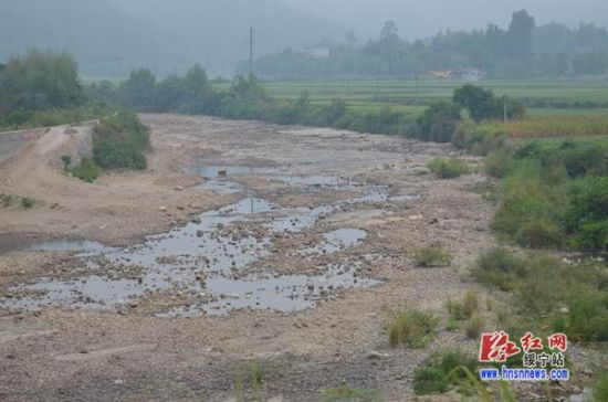 绥宁县插柳村投入300台水泵抽水抗旱