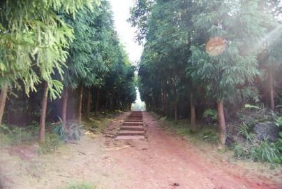 合江尧坝情侣山+两两相望千百年