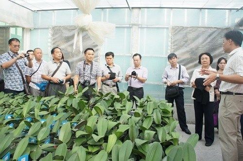 广西侨办组团赴台湾考察学习现代农业技术