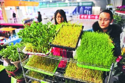 合肥农产品产销对接会可体验现实版开心农场