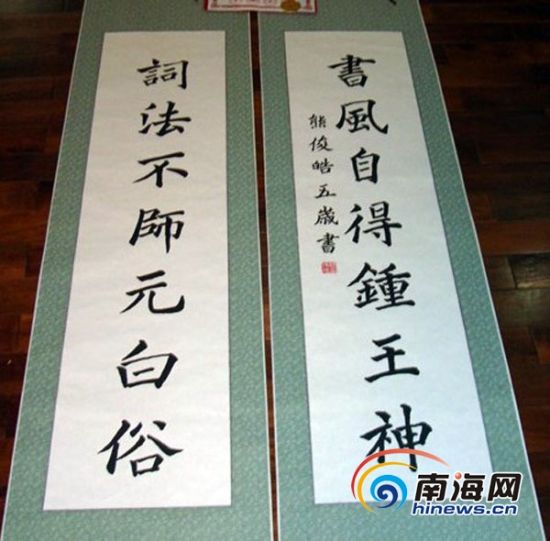 海南年货展：10岁小书法家热心公益欲写春联送祝福