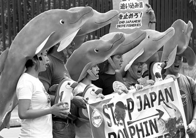 日本人为什么围猎海豚?