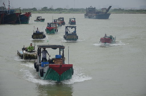 汕头澄海区228船只1532渔排人员安全回港