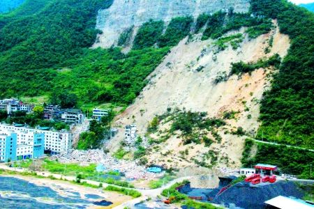 奉节县大树镇副调研员林国宁抢险救灾殉职