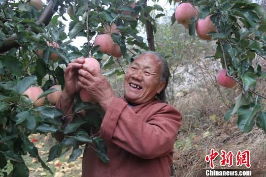 《小苹果》唱响山东沂源红苹果文化节