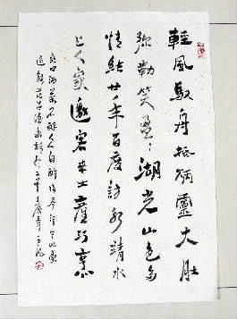 王凡书法作品选登