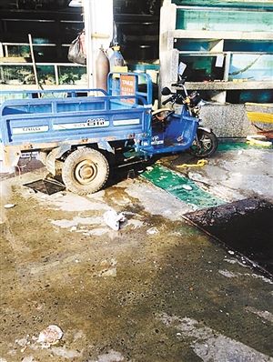 罗芳路海鲜批发市场_7月深圳海鲜均价整体下降有望继续下降