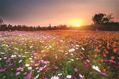 南京中医药大学: 今年新增两个长学制专业