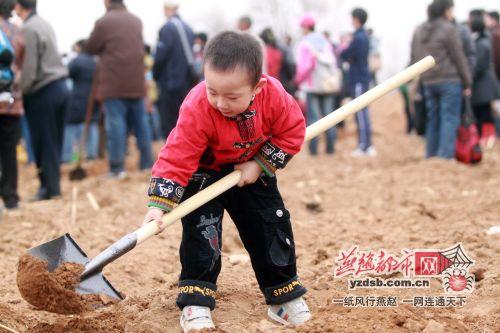 ���Զ��б���300����ߴ�ɽ��ֲ��������ͼ��