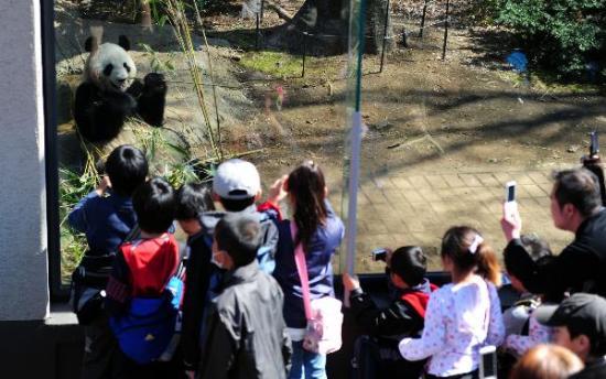 ���մ���è�״��붫���οͼ��������˲ι�(ͼ)