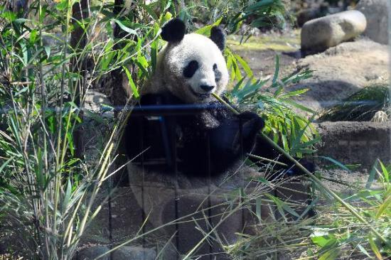 ���մ���è�״��붫���οͼ��������˲ι�(ͼ)