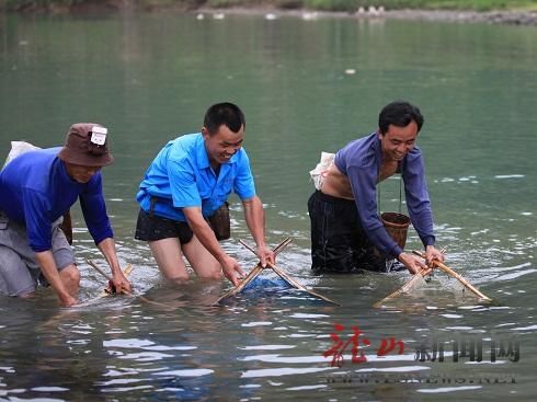 组图:龙山洗车河流域鱼虾成群 捞虾队伍成风景线