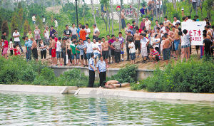 石家庄环城水系裕翔路段河道    事件:一青年男子下河游泳时溺水身亡