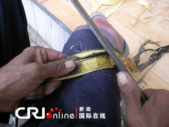 图片·云南行:神奇的东巴纸制作流程