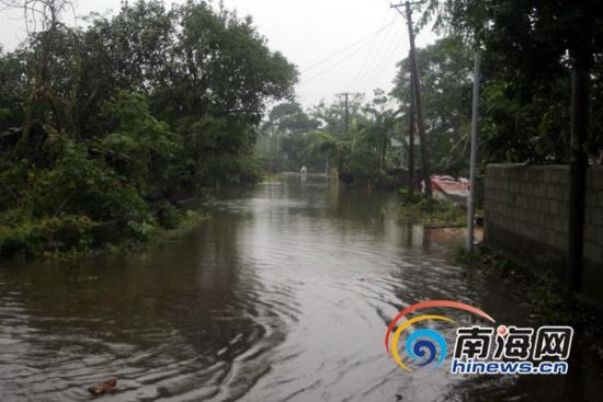 海口暴雨如注 龙华区龙桥镇昌荣村积水及腰[图]