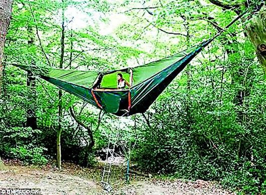 ͼ�ģ������ʽ���ı�������