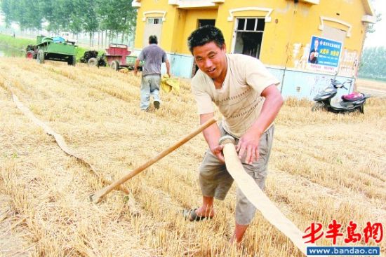 50��������Ч����������īũ��׷׺���(ͼ)