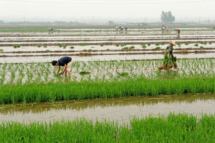 ���ϣ�ȫ���Ը�æ���֣�ͼ��