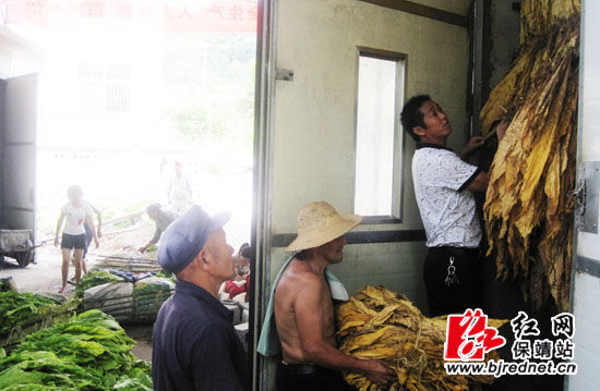 保靖龙溪供电所为辖区烟农烤烟保驾护航(图)